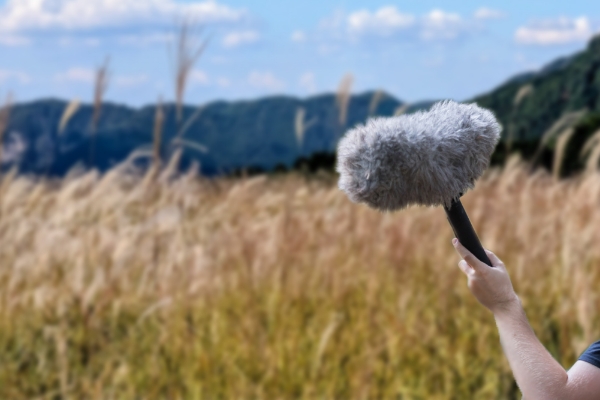 人に聞こえない音